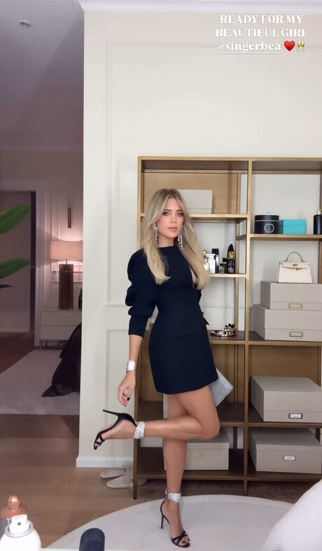 Sylvie Meis
