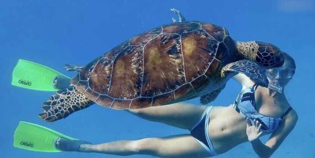 Foto di nudo di fuga di OnlyFans di Prominent #1206