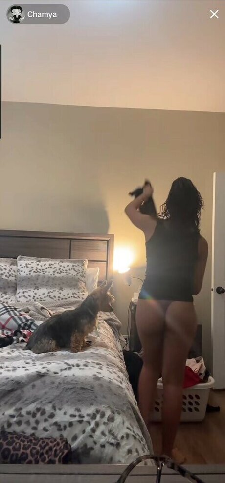 Foto di nudo di fuga di OnlyFans di Chamya Johnson