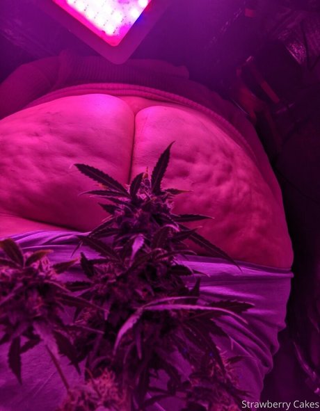 Strawberrycakes