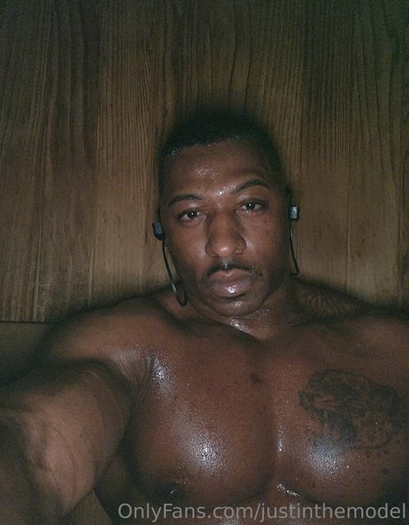 Justinthemodel