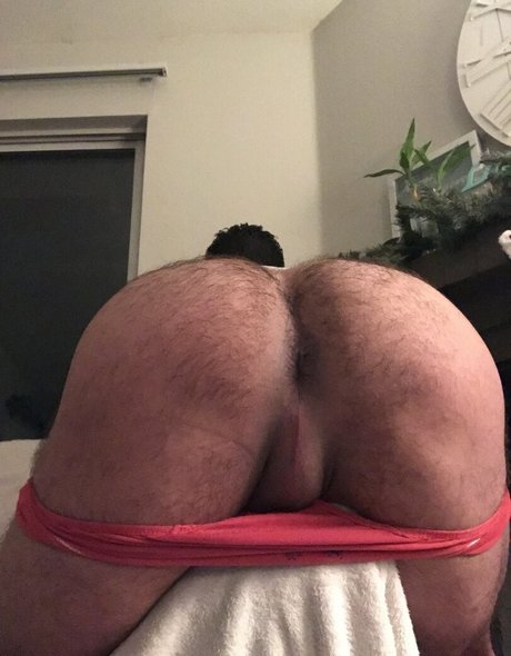 Briefsbull