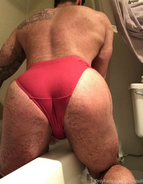 Foto di nudo di fuga di OnlyFans di Briefsbull