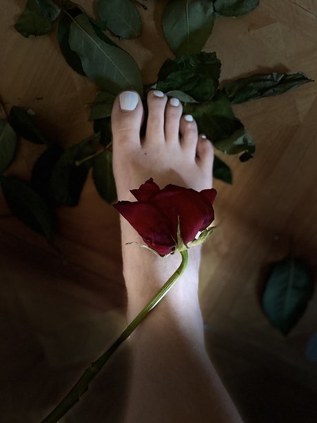 Lolly Toes