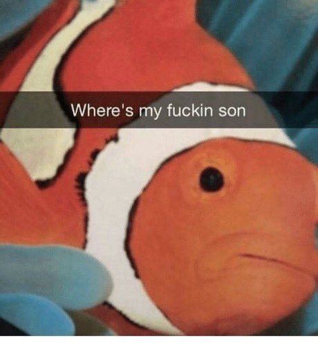 Foto di nudo di fuga di OnlyFans di Wheres Nemo