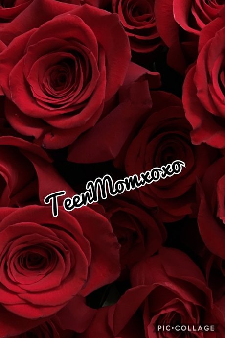 Foto di nudo di fuga di OnlyFans di Teenmomxoxo