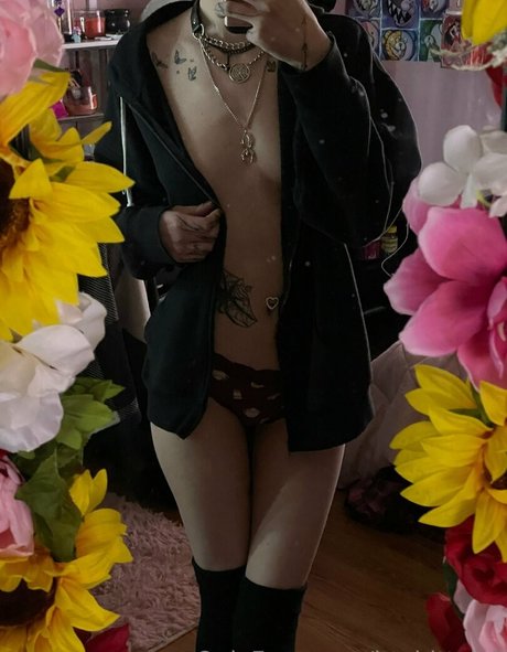 Foto di nudo di fuga di OnlyFans di Ittybittyloli