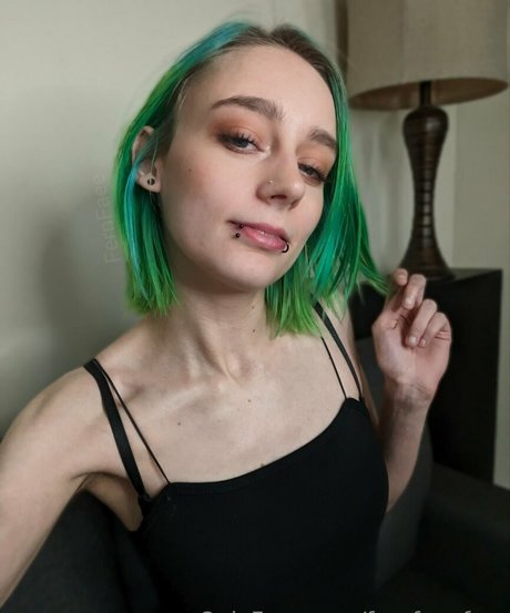 Fernfaeefree