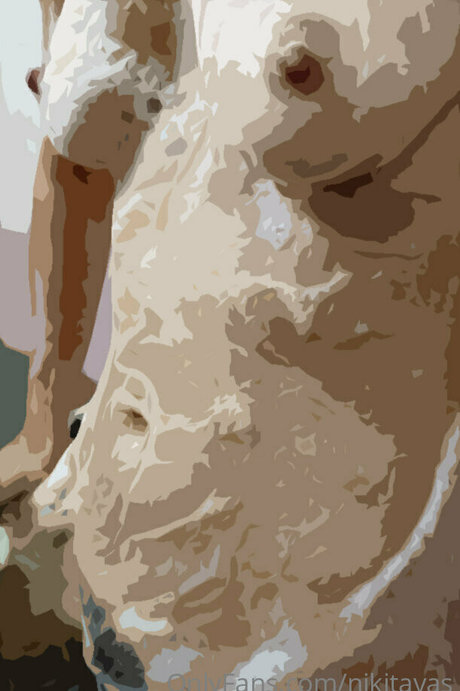 Foto di nudo di fuga di OnlyFans di Nikitavas