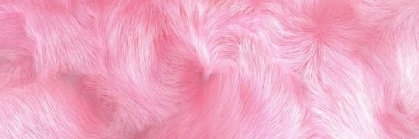 Foto di nudo di fuga di OnlyFans di Onlybunnies