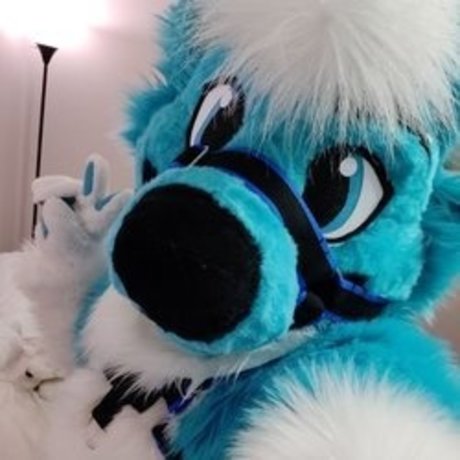 Foto di nudo di fuga di OnlyFans di Fizzy Potato Husky