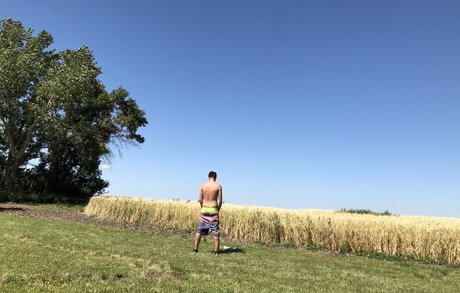 Pflanzdaddy