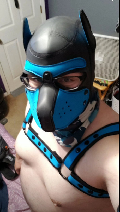 Foto di nudo di fuga di OnlyFans di Pup Havoc