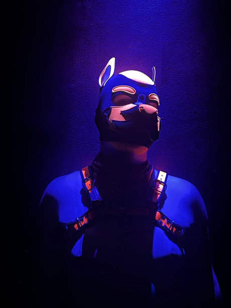 Foto di nudo di fuga di OnlyFans di Quentin The Pup