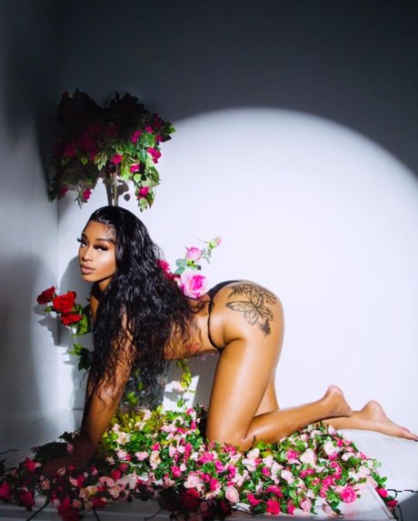 Foto di nudo di fuga di OnlyFans di Princesss