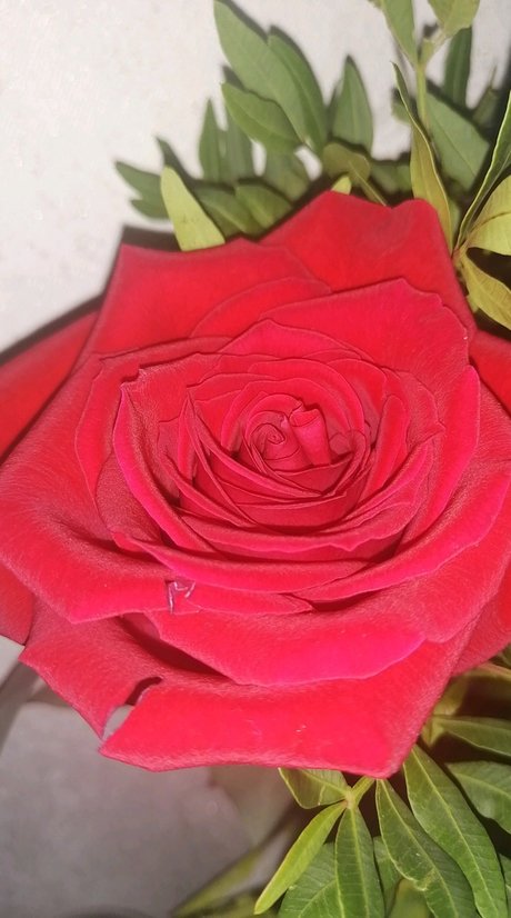 Foto di nudo di fuga di OnlyFans di Maria