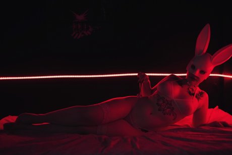 Foto di nudo di fuga di OnlyFans di Gata