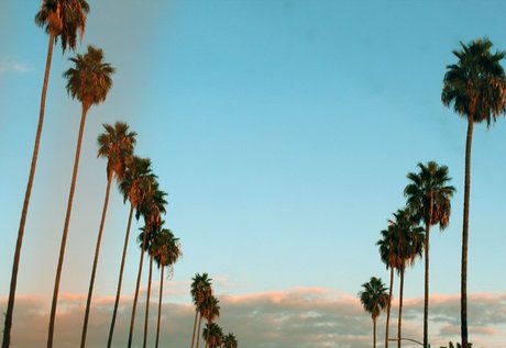 Blake Ca