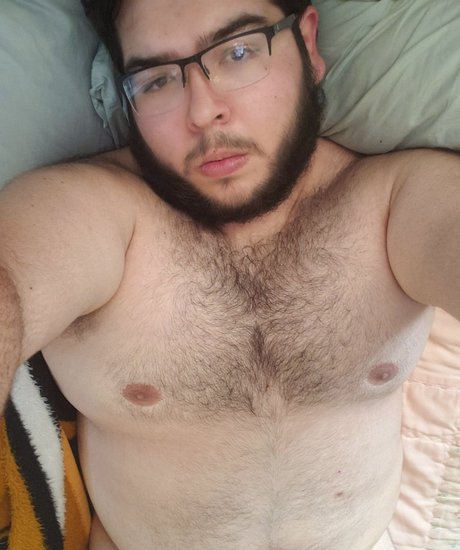 Foto di nudo di fuga di OnlyFans di Bearhegao