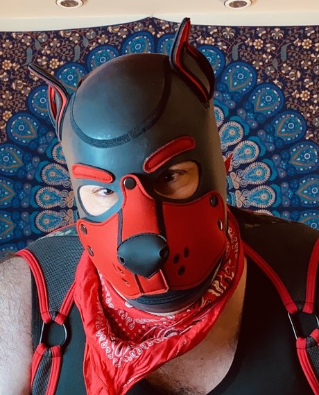 Foto di nudo di fuga di OnlyFans di Bear Pup Gaymer