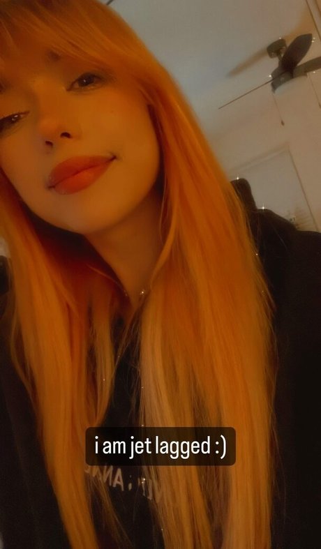Shelbygraces