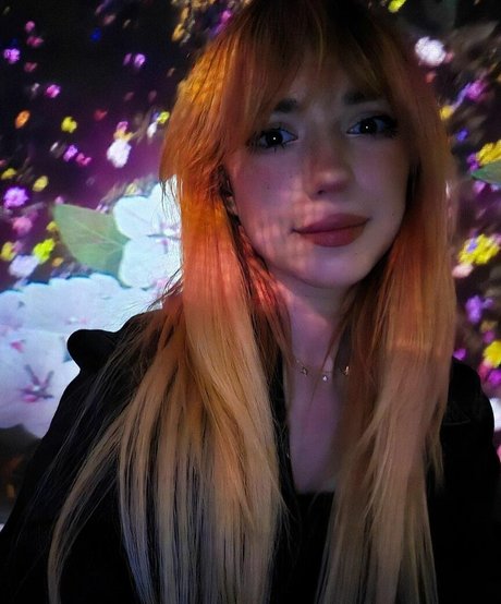 Shelbygraces