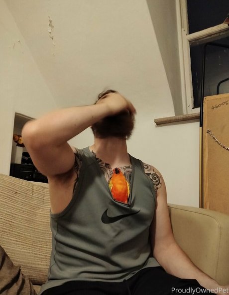 Foto di nudo di fuga di OnlyFans di Boundbyflames