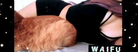 Foto di nudo di fuga di OnlyFans di Miau