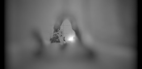 Foto di nudo di fuga di OnlyFans di B E L L A