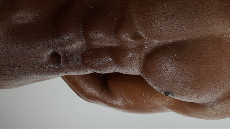 Jay Alexander