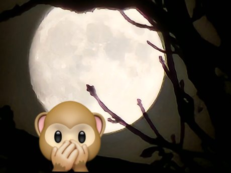 Foto di nudo di fuga di OnlyFans di Monkey 