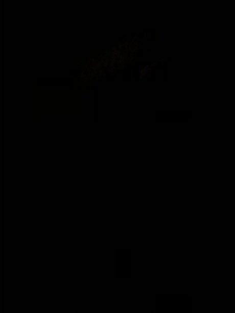 Foto di nudo di fuga di OnlyFans di 
