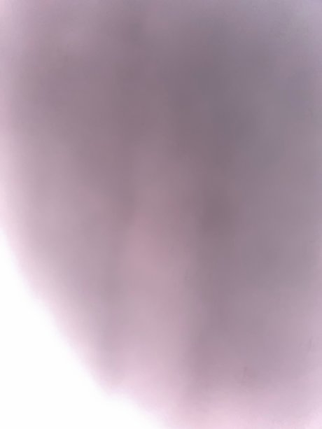 Foto di nudo di fuga di OnlyFans di Bunny
