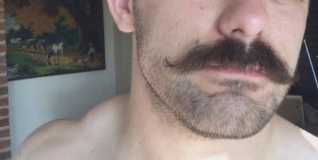 Brandy Ampamp Mr Moustach