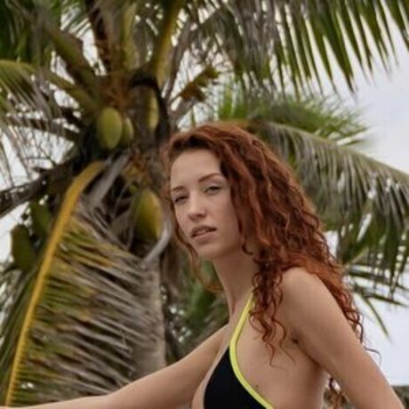 Gingeryshoot