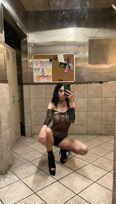 Toriexotic
