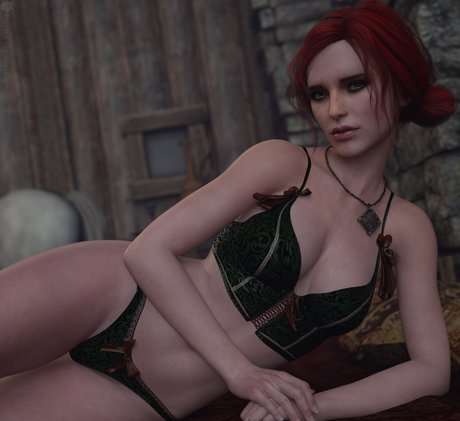 The Witcher