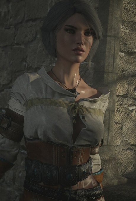 The Witcher