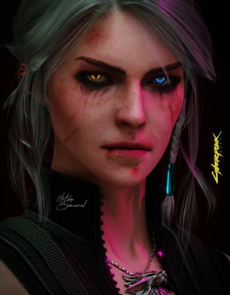 The Witcher