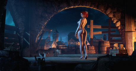 The Witcher