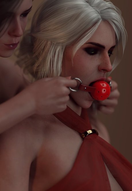 The Witcher