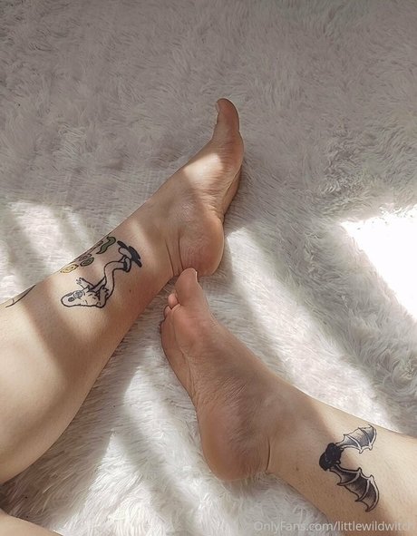 Foto di nudo di fuga di OnlyFans di Wildwiitch