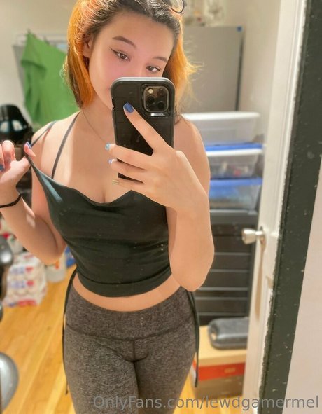 Lewdgamermel