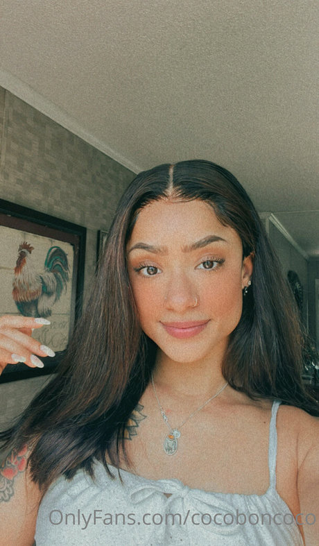 Cocofreda