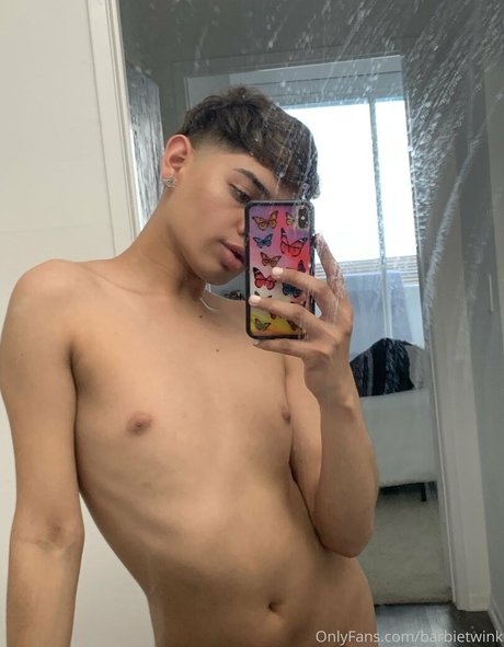 Thebarbieetwink