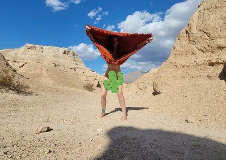 Sheissam