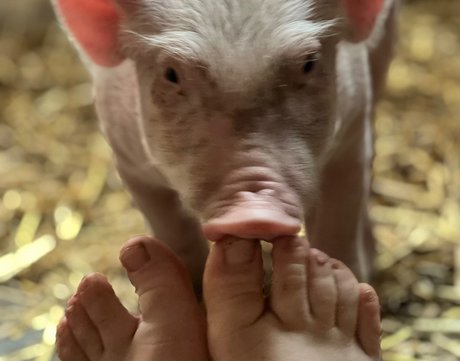 Foto di nudo di fuga di OnlyFans di Dutchfarmgirl