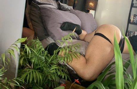 Jacque El