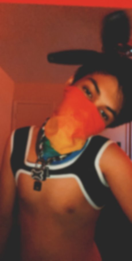 Foto di nudo di fuga di OnlyFans di Robin Wonder