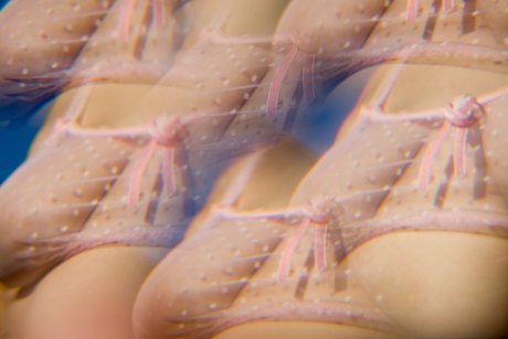 Foto di nudo di fuga di OnlyFans di Dafne Fairy